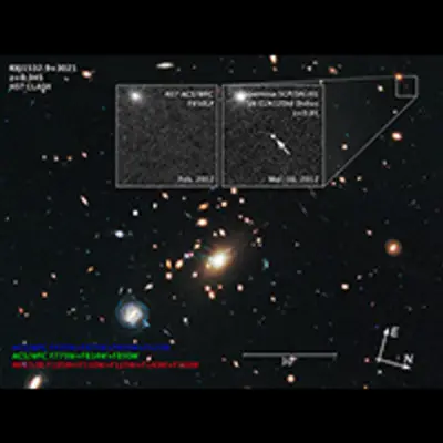 Compass and Scale Image for Supernova Didius