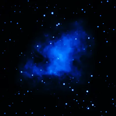 XMM-Newton (ultraviolet) Image of the Crab Nebula
