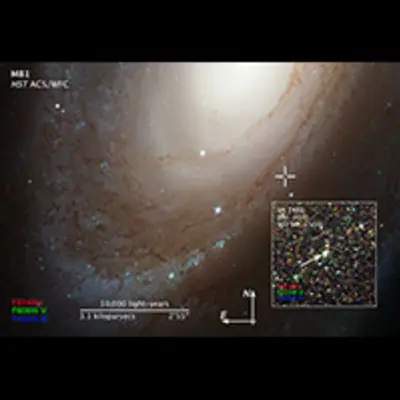 Compass and Scale Image for SN 1993J