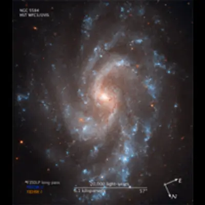 Compass and Scale Image of NGC 5584