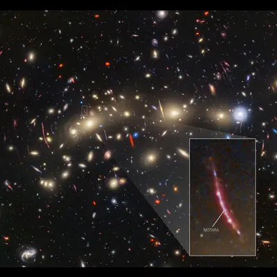MACS 0416 Mothra Pullout (Hubble ACS and WFC3 + Webb NIRCam Image)