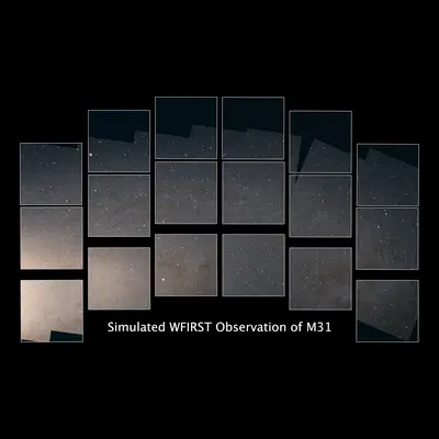 Simulated WFIRST Observation of Andromeda Galaxy