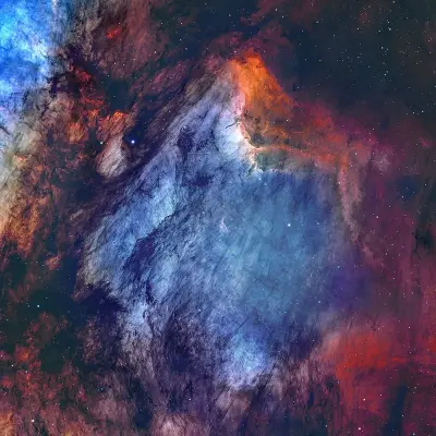 The Pelican Nebula in Gas, Dust, and Stars