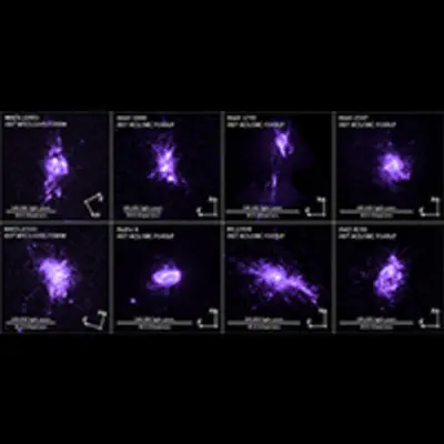 Compass and Scale Image of Cluster Galaxies
