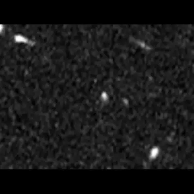 HST WFC3 F160W Image without SN
