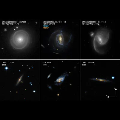 Mosaic of Super Spirals (Annotated)