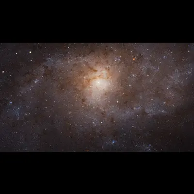 Triangulum Galaxy (M33) Crop