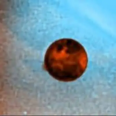 Plume of Gas and Dust Spouts From Volcanic Eruption on Io
