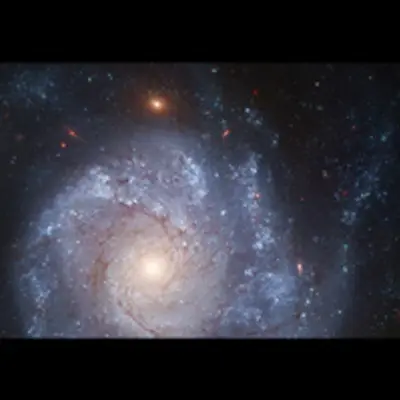 Spiral Galaxy NGC 1309