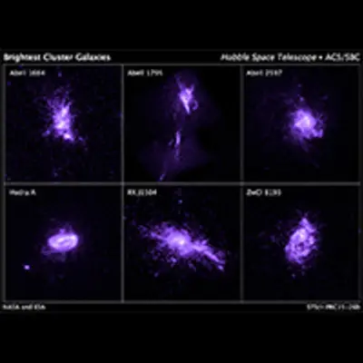 Sample of Brightest Cluster Galaxies