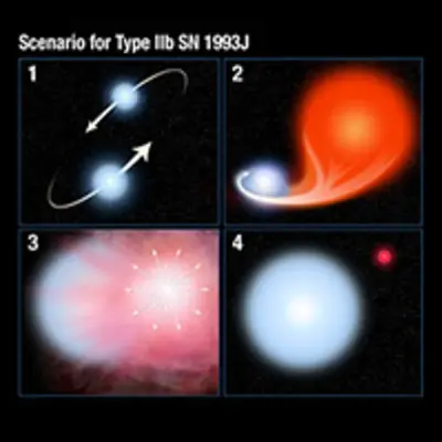Scenario for Type IIb SN 1993J