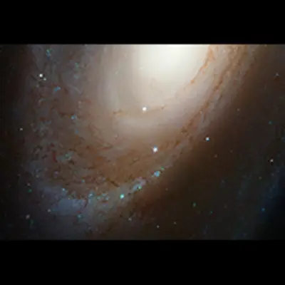 HST ACS Image of M81