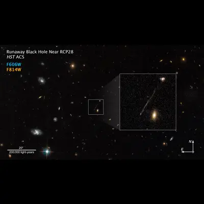 Runaway Black Hole Compass Image