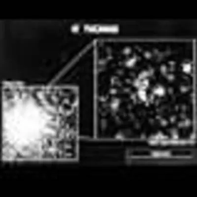 47 Tucanae Core: Ground vs. Hubble Image