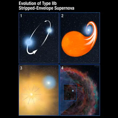 Evolution of Type IIb Stripped-Envelope Supernova