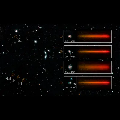 Spectra of Galaxies within the Hubble Ultra Deep Field