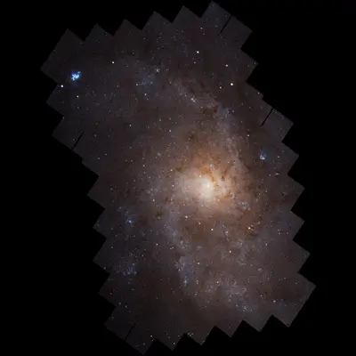 Triangulum Galaxy Messier 33 (M33)