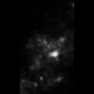 2007 HST WFPC2 Image of Region Near SN 2005gl – Progenitor is Gone