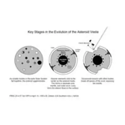 Key Stages in the Evolution of the Asteroid Vesta