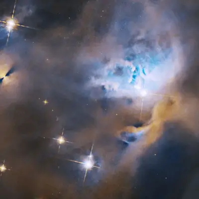 Hubble Nets Menagerie of Young Stellar Objects