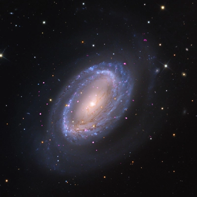 NGC 4725 - Galaxy gallery: Sixteen galaxies including spirals, ellipticals, and irregulars.