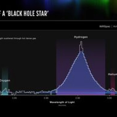 Evidence of a ‘Black Hole Star’