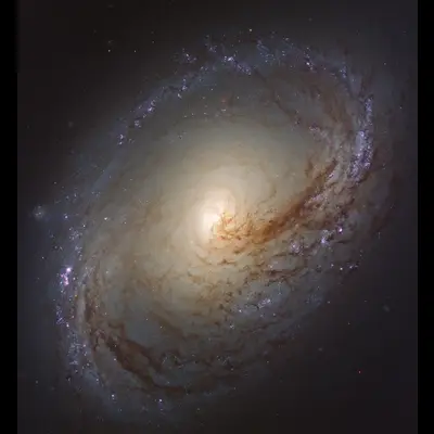 NGC 3368
