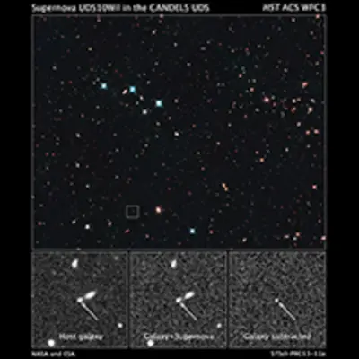 Supernova UDS10Wil in the CANDELS Ultra Deep Survey