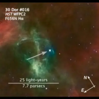 Compass/Scale Image of 30 Dor Runaway Star
