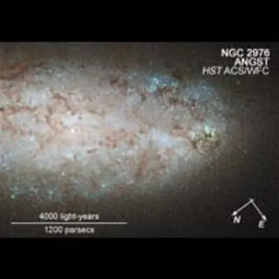 Compass and Scale Image for NGC 2976