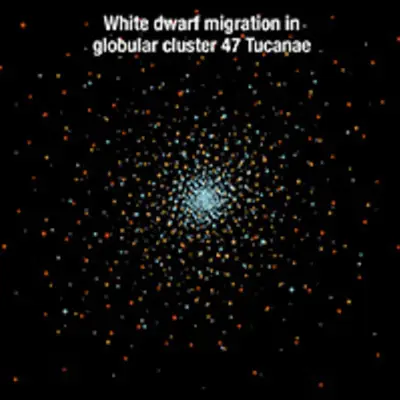White Dwarf Migration in Globular Cluster 47 Tucanae (with title)