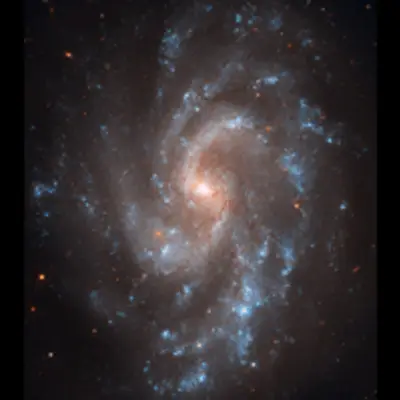 Hubble's View of NGC 5584