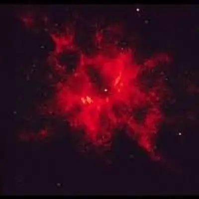 Central Star of Nebula NGC 2440: One of Hottest Known Stars