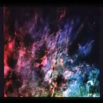 "Window-Curtain" Structure of the Orion Nebula