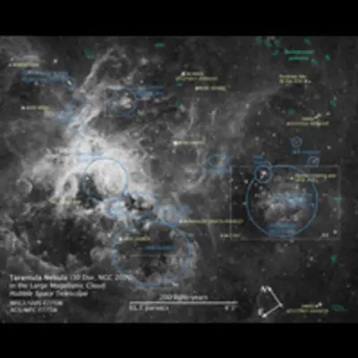 Tarantula Nebula Annotated Map