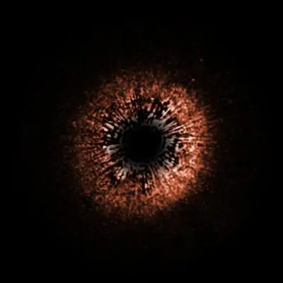 Planetary Debris Disk Encircling Yellow Dwarf Star HD 107146