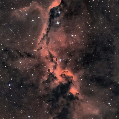 The Elephant's Trunk in Cepheus