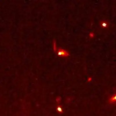 SN 1997ce
