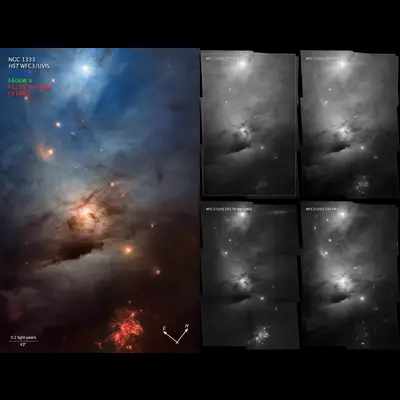 NGC 1333 (Compass Image)