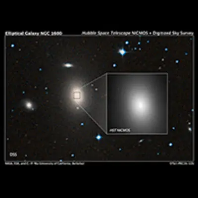 A View of the Giant Elliptical Galaxy NGC 1600