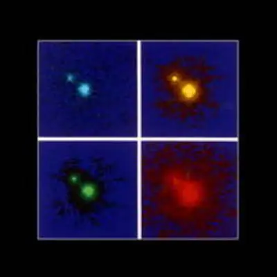 Color Images of Quasar 1208+101Split by Gravitational Lenses