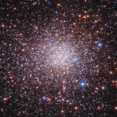 Bulge Fossil Fragment Terzan 5 (Webb and Hubble Image)