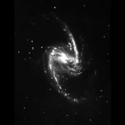 NGC 1365 DSS