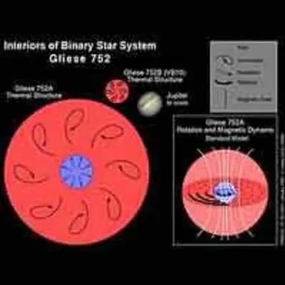 The Interior Workings of Stellar Dynamo Gliese 752
