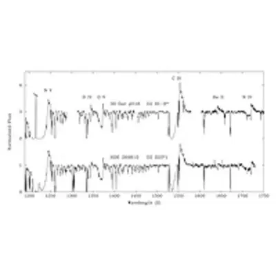 Hubble Observations of Massive Stars in the Large Magellanic Cloud
