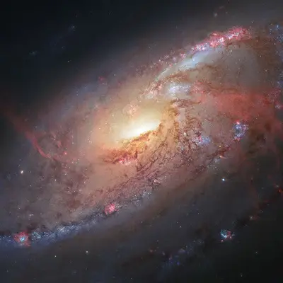 Galaxy M106
