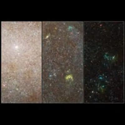 Hubble Resolves Swarms of Stars in Nearby Galaxy