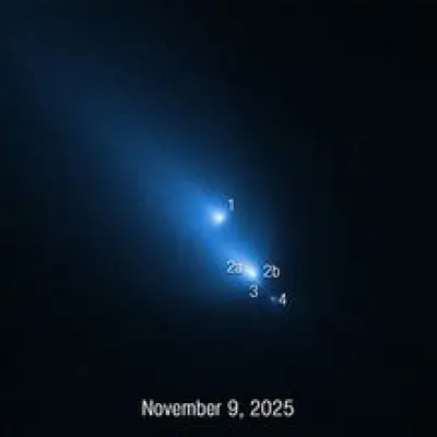 Comet C/2025 K1 Compass Image