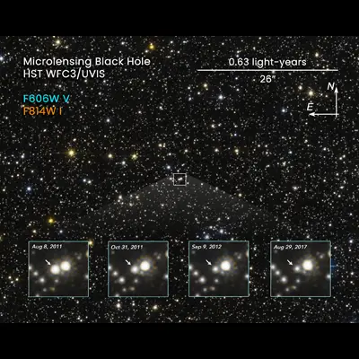 Microlensing Black Hole Compass