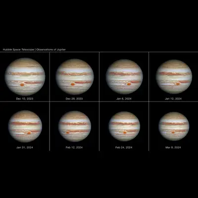 Full Disk of Jupiter (8-Panel)